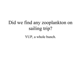 Did we find any zooplankton on
          sailing trip?
       YUP, a whole bunch.
 