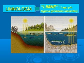 LIMNOLOGÍALIMNOLOGÍA “LIMNE”: Lago y/o
laguna (primeros instantes)
 