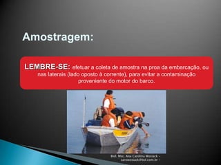 Biol. Msc. Ana Carolina Wosiack -
carowosiack@bol.com.br -
Amostragem:
LEMBRE-SE: efetuar a coleta de amostra na proa da embarcação, ou
nas laterais (lado oposto à corrente), para evitar a contaminação
proveniente do motor do barco.
 