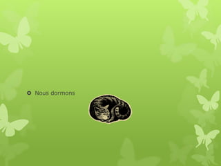  Nous dormons
 