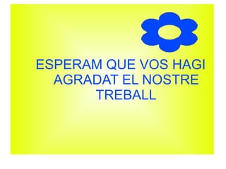 ESPERAM QUE VOS HAGI
AGRADAT EL NOSTRE
TREBALL
 