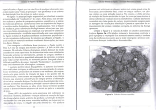 Limpeza do Fígado e da Vesícula 