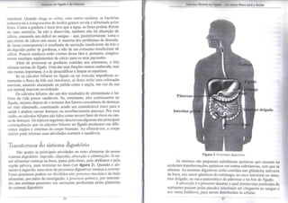 Limpeza do Fígado e da Vesícula 