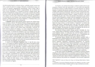 Limpeza do Fígado e da Vesícula 