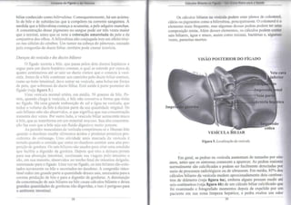 Limpeza do Fígado e da Vesícula 