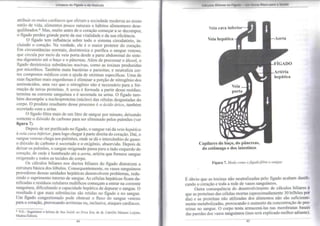 Limpeza do Fígado e da Vesícula 