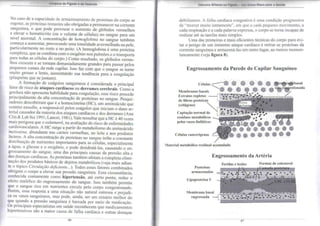 Limpeza do Fígado e da Vesícula 