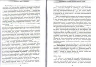 Limpeza do Fígado e da Vesícula 