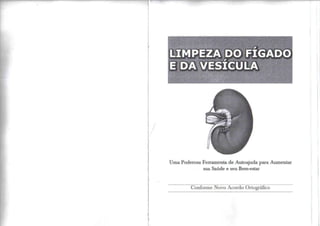 Limpeza do Fígado e da Vesícula 