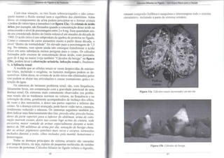 Limpeza do Fígado e da Vesícula 