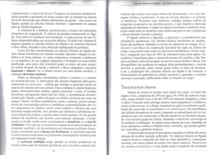 Limpeza do Fígado e da Vesícula 