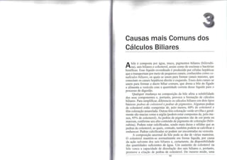 Limpeza do Fígado e da Vesícula 