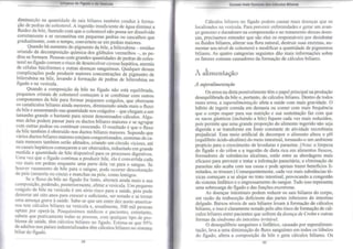 Limpeza do Fígado e da Vesícula 