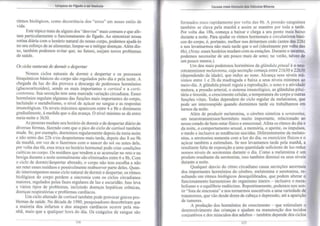 Limpeza do Fígado e da Vesícula 