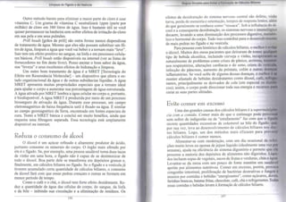 Limpeza do Fígado e da Vesícula 