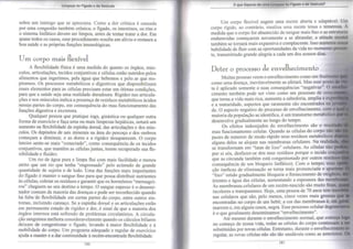 Limpeza do Fígado e da Vesícula 