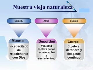 Nuestra vieja naturaleza
Espíritu

Muerto
Incapacitado
de
relacionarse
con Dios

LOGO

Alma

Cuerpo

Desorden

Cuerpo
Sujeto al
deterioro y
desgaste
continuo

Voluntad
esclava de los
pensamientos
y
sentimientos.

 