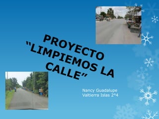 Nancy Guadalupe
Valtierra Islas 2°4
 