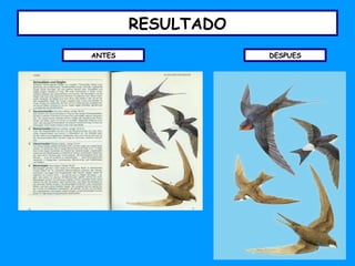 RESULTADO ANTES DESPUES 