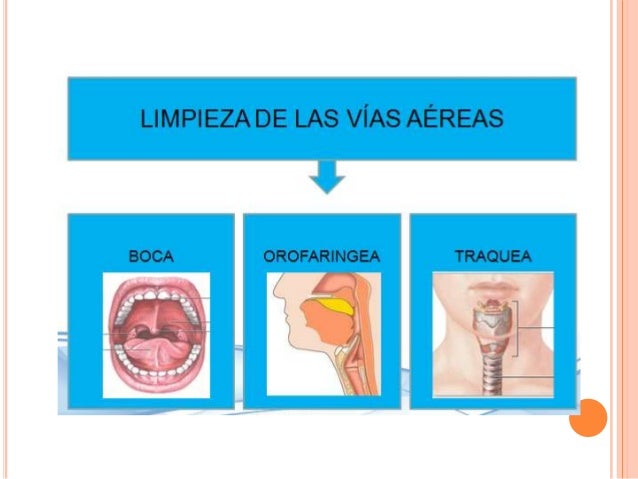 Limpieza de la via aerea