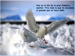 Hoy es el día de la gran limpieza mental. Tira todo lo que te encadena al pasado que te hace daño.  