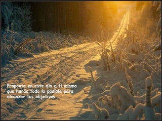 Proponte en este día a ti mismo que harás todo lo posible para alcanzar tus objetivos.  