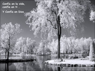 Confía en la vida, confía en ti . Y Confía en Dios.... 