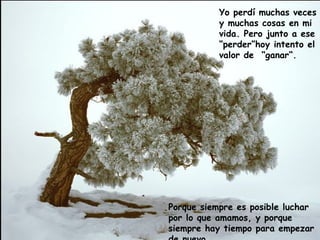 Yo perdí muchas veces y muchas cosas en mi vida. Pero junto a ese “perder”hoy intento el valor de  “ganar“.  Porque siempre es posible luchar por lo que amamos, y porque siempre hay tiempo para empezar de nuevo.  