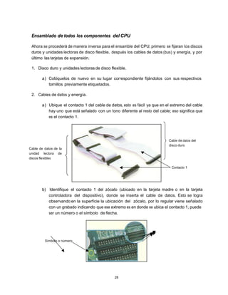 Ensamblado de todos los componentes del CPU

 Ahora se procederá de manera inversa para el ensamble del CPU, primero se fijaran los discos
 duros y unidades lectoras de disco flexible, después los cables de datos (bus) y energía, y por
 último las tarjetas de expansión.

 1. Disco duro y unidades lectoras de disco flexible.

        a) Colóquelos de nuevo en su lugar correspondiente fijándolos con sus respectivos
           tornillos previamente etiquetados.

 2. Cables de datos y energía.

        a) Ubique el contacto 1 del cable de datos, esto es fácil ya que en el extremo del cable
           hay uno que está señalado con un tono diferente al resto del cable; eso significa que
           es el contacto 1.




                                                                             Cable de datos del
                                                                             disco duro
Cable de datos de la
unidad lectora de
discos flexibles

                                                                               Contacto 1




        b) Identifique el contacto 1 del zócalo (ubicado en la tarjeta madre o en la tarjeta
           controladora del dispositivo), donde se inserta el cable de datos. Esto se logra
           observando en la superficie la ubicación del zócalo, por lo regular viene señalado
           con un grabado indicando que ese extremo es en donde se ubica el contacto 1, puede
           ser un número o el símbolo de flecha.




         Símbolo o número




                                               28
 