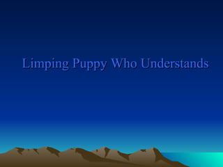 Limping Puppy Who Understands  
