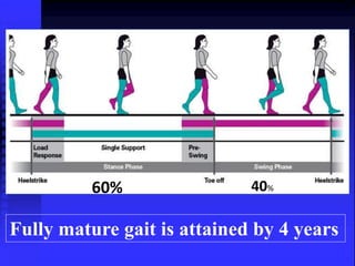 60% 40% 
Fully mature gait is attained by 4 years 
 