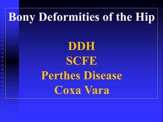Bony Deformities of the Hip 
DDH 
SCFE 
Perthes Disease 
Coxa Vara 
 