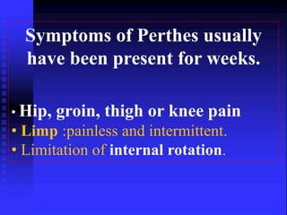 Symptoms of Perthes usually 
have been present for weeks. 
• Hip, groin, thigh or knee pain 
• Limp :painless and intermittent. 
• Limitation of internal rotation. 
 