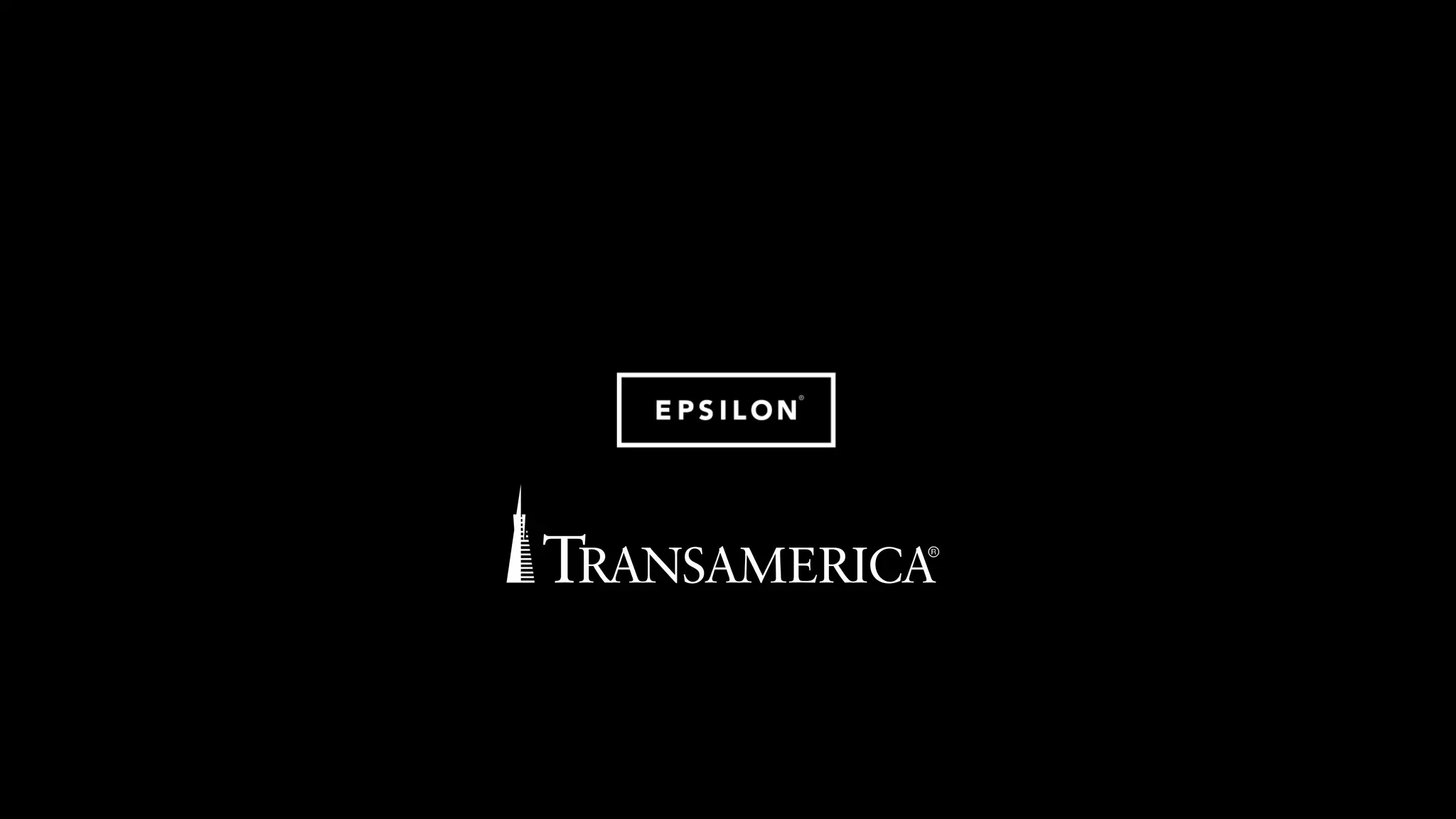 The successful analytics organization - Epsilon and Transamerica, LIMRA Data Conference 2015