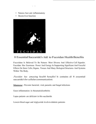 .   .
 
 
 
      • Natures best anti inflammatory
      • Boosts liver function
 




 
 
     8 Essential Saccaride's Add to Fucoidan Health Benefits
 
 
    Fucoidan Is Believed To Be Natures Most Diverse And Effective Cell Signaler.
    Fucoidan Has Enormous Power And Energy In Supporting Significant And Forceful
    Effects On Stem Cells, Organs, Tissues And Many Biological Structures And Systems
    Within The Body.
 
 
    .Fucoidan has amazing health benefits! It contains all 8 essential
    saccaride's for cellular communication:
 
 
    Mannose - Prevents bacterial, viral, parasitic and fungal infections
 
 
    Eases inflammation in rheumatoid arthritis
 
 
    Lupus patients are deficient in this saccharide
 
 
    Lowers blood sugar and triglyceride levels in diabetic patients
 