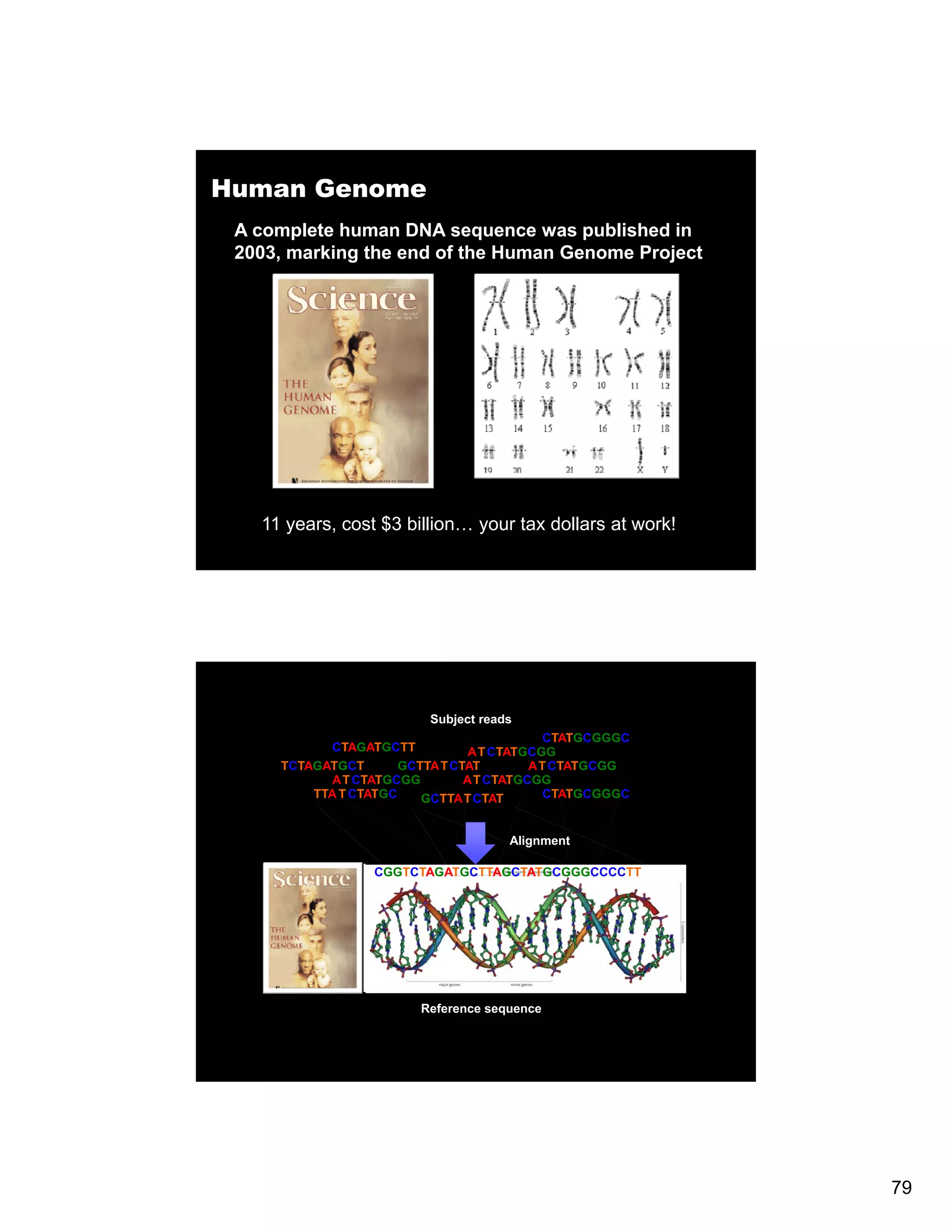 Human Genome A complete human DNA sequence was published in 2003, marking the end of the Human Genome Project 11 years, cost $3 billion… your tax dollars at work! Subject reads CTATGCGGGC CTAGATGCTT AT CTATGCGG TCTAGATGCT GCTTAT CTAT AT CTATGCGG AT CTATGCGG AT CTATGCGG TTA T CTATGC GCTTAT CTAT CTATGCGGGC Alignment CGGTCTAGATGCTTAGCTATGCGGGCCCCTT Reference sequence 79 