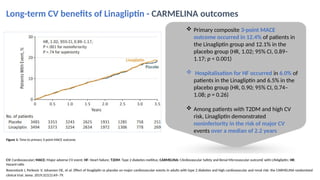 Lina+Empa_Slidedeck_HS_28April_QC_AV.PPTX