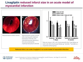 31
Linagliptin reduced infarct size in an acute model of
myocardial infarction
Source: Sharkovska et al. American Diabetes Association 71th, Scientific Sessions, San Diego, CA, June 24–28,
2011; 974-P; Sharkovska et al EASD 2011
Representative cardiac section.
Data are means ± SD. n=8-12 per group for the 7 day follow-up
and n=16-18 for the 8 week follow-up. *p<0.05, **p<0.001 vs.
respective vehicle group
Reduced infarct size under linagliptin in an acute model of myocardial infarction
Representative cardiac section
after staining with triphenyl-
tetrazolium-chloride. The
infarcted area was defined as
the area unstained by
triphenyl-tetrazolium-chloride
 