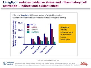 Linagliptin reduces oxidative stress and inflammatory cell
activation – indirect anti-oxidant effect
1 p<0.05 vs. control and #, p<0.05 vs. LPS.
Source: Schuff et al. American Diabetes Association 71th, Scientific Sessions, San Diego, CA, June 24–28, 2011; 981-P
Sharkovska et al. American Diabetes Association 71th, Scientific Sessions, San Diego, CA, June 24–28, 2011; 974-P ;EASD 2011
Effects of linagliptin (LG) on activation of white blood cells:
Quantification of oxidative burst in isolated neutrophils (PMNs)
Linagliptin
inhibits
oxidative burst
in stimulated
human
neutrophils
 