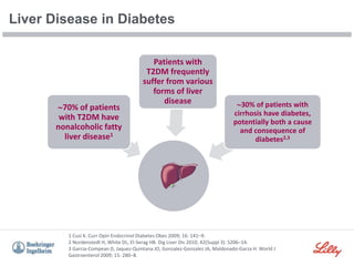 Liver Disease in Diabetes
1 Cusi K. Curr Opin Endocrinol Diabetes Obes 2009; 16: 141–9.
2 Nordenstedt H, White DL, El-Serag HB. Dig Liver Dis 2010; 42(Suppl 3): S206–14.
3 Garcia-Compean D, Jaquez-Quintana JO, Gonzalez-Gonzalez JA, Maldonado-Garza H. World J
Gastroenterol 2009; 15: 280–8.
70% of patients
with T2DM have
nonalcoholic fatty
liver disease1
Patients with
T2DM frequently
suffer from various
forms of liver
disease 30% of patients with
cirrhosis have diabetes,
potentially both a cause
and consequence of
diabetes2,3
 