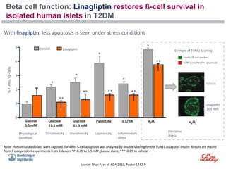 Beta cell function: Linagliptin restores ß-cell survival in
isolated human islets in T2DM
Lipotoxicity
Glucotoxicity Inflammatory
stress
Oxidative
stress
Physiological
condition
Glucotoxicity
With linagliptin, less apoptosis is seen under stress conditions
Vehicle
Linagliptin
(100 nM)
Insulin (ß-cell marker)
TUNEL (marker for apoptosis)
*
**
** ** **
**
*
*
*
*
%
TUNEL
+β-cells
0
1
2
3
4
5 Vehicle Linagliptin Example of TUNEL Staining
Note: Human isolated islets were exposed for 48 h. ß-cell apoptosis was analyzed by double labeling for the TUNEL assay and insulin. Results are means
from 3 independent experiments from 3 donors *P<0.05 to 5.5 mM glucose alone, **P<0.05 to vehicle
Source: Shah P, et al. ADA 2010, Poster 1742-P
 