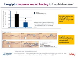 51
Linagliptin improves wound healing in the ob/ob mouse1
Source: Schurmann et al. American Diabetes Association 70th, Scientific Sessions, Orlando, Florida, June 25–29, 2010; -
P; Linke et al. American Diabetes Association 69th, Scientific Sessions, June 2009 -P
1 Obese mouse model for type 2 diabetes mellitus
Linagliptin improves
wound healing through
accelerated re-
epithelialization
Quantification of wound size in ob/ob
mice following 12 days treatment with
3 mg/kg linagliptin (n=10) or control
(n=9)
Decreased wound size
with linagliptin
treatment compared to
control
 