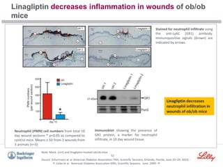 52
Linagliptin decreases inflammation in wounds of ob/ob
mice
Source: Schurmann et al. American Diabetes Association 70th, Scientific Sessions, Orlando, Florida, June 25–29, 2010; -
P; Linke et al. American Diabetes Association 69th, Scientific Sessions, June 2009 –P
Note: Mock- (ctrl) and linagliptin-treated ob/ob mice
Immunoblot showing the presence of
GR1 protein, a marker for neutrophil
infiltrate, in 10 day wound tissue
Linagliptin decreases
neutrophil infiltration in
wounds of ob/ob mice
Stained for neutrophil infiltrate using
the anti-Ly6C (GR1) antibody.
Immunopositive signals (brown) are
indicated by arrows
Neutrophil (PMN) cell numbers from total 10
day wound sections * p<0.05 as compared to
control mice. Means ± SD from 3 wounds from
3 animals (n=3)
 