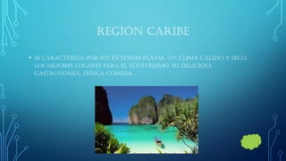 REGIÓN CARIBE 
•Se caracteriza por sus extensas playas, un clima cálido y seco, los mejores lugares para el ecoturismo. Su deliciosa gastronomía, fresca comida.  
