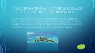 PARQUE NACIONAL NATURAL CORALES DEL ROSARIO Y SAN BERNARDO 
•Las Islas del Rosario y de San Bernardo es un archipiélago formado por más de 40 pequeñas islas, el cual fue declarado Parque Nacional Natural con el fin de proteger los arrecifes coralinos y manglares que se encuentran dentro de él.  