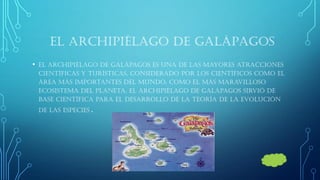 EL ARCHIPIÉLAGO DE GALÁPAGOS 
•El Archipiélago de Galápagos es una de las mayores atracciones científicas y turísticas, Considerado por los científicos como el área más importantes del mundo, como el más maravilloso ecosistema del planeta, el archipiélago de Galápagos sirvió de base científica para el desarrollo de la teoría de la evolución de las especies .  
