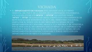 VICHADA 
•El Departamento de Vichada está situado en el extremo oriental del país y de la región de la Orinoquía colombiana, localizado entre los 06º19’34’’ y 02º53’58’’ de latitud norte y67º25’1’’ y 71º7’10’’ de longitud oeste. Cuenta con una superficie de 98.970 km2 lo que representa el 8.6 % del territorio nacional. Limita por el Norte con el río Meta que lo separa de los departamentos de Casanare, Arauca y la República de Venezuela; por el Este con el río Orinoco que lo separa de la República de Venezuela, por el Sur con el río Guaviare que lo separa de los departamentos de Guainía y Guaviare y por el Oeste con los departamentos de Meta y Casanare.  