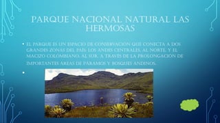 PARQUE NACIONAL NATURAL LAS HERMOSAS 
•El parque es un espacio de conservación que conecta a dos grandes zonas del país: los Andes Centrales, al norte, y el Macizo Colombiano, al sur, a través de la prolongación de importantes áreas de páramos y bosques andinos. 
•  