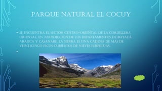 PARQUE NATURAL EL COCUY 
•se encuentra el sector centro-oriental de la cordillera Oriental, en jurisdicción de los departamentos de Boyacá, Arauca y Casanare. La Sierra es una cadena de más de veinticinco picos cubiertos de nieves perpetuas. 
•  