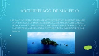 ARCHIPIÉLAGO DE MALPELO 
•se ha convertido en un atractivo turístico bastante grande para los buzos de todo el mundo, La micro fauna de Malpelo producto de su aislamiento geográfico, hace de este islote un laboratorio natural para el estudio de la evolución de las especies. 
•  